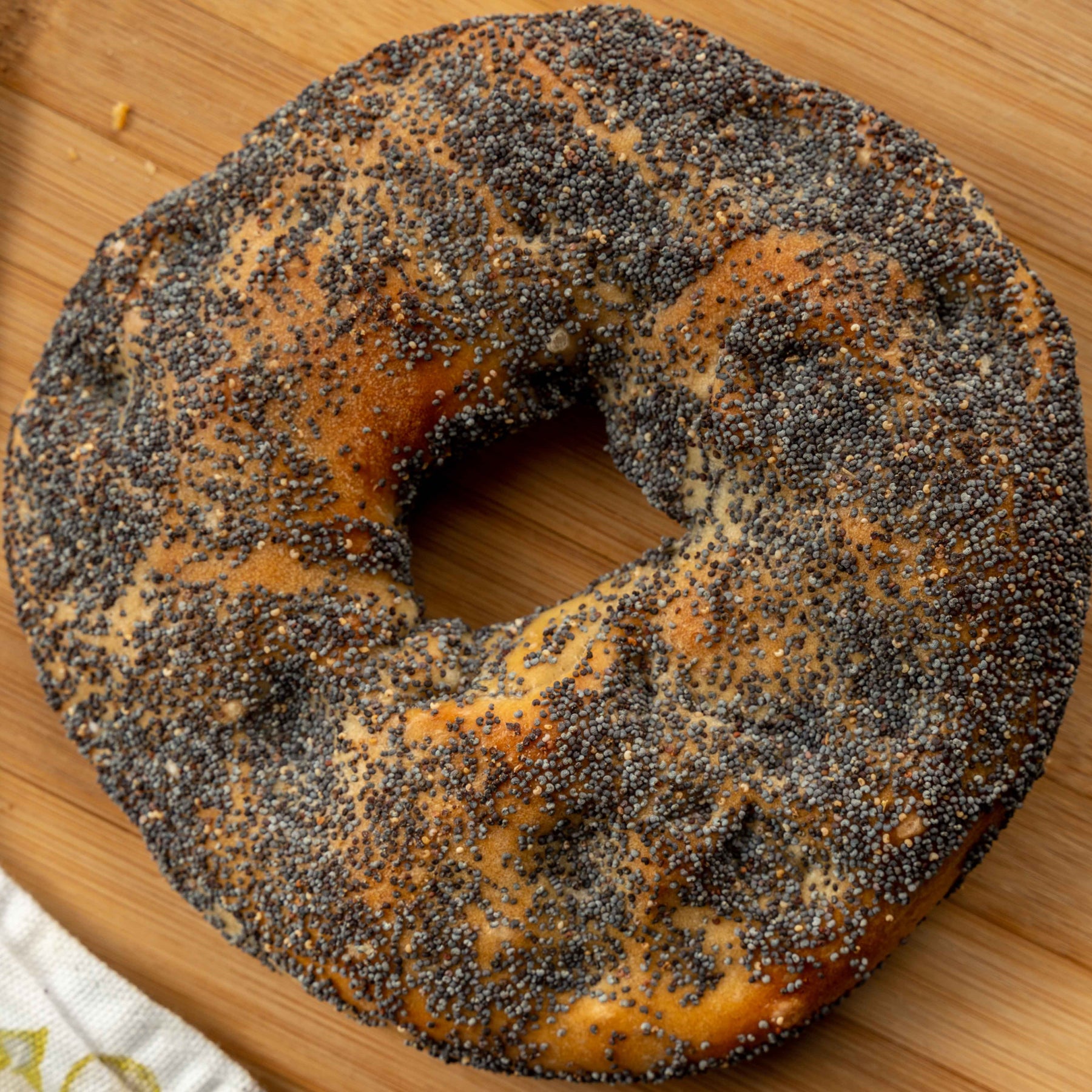 Flat Bagel (1 pc)