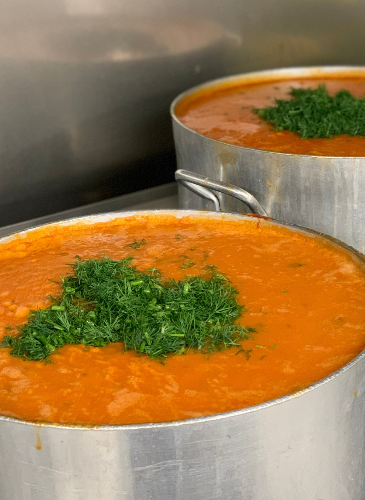 Vegetable Soup