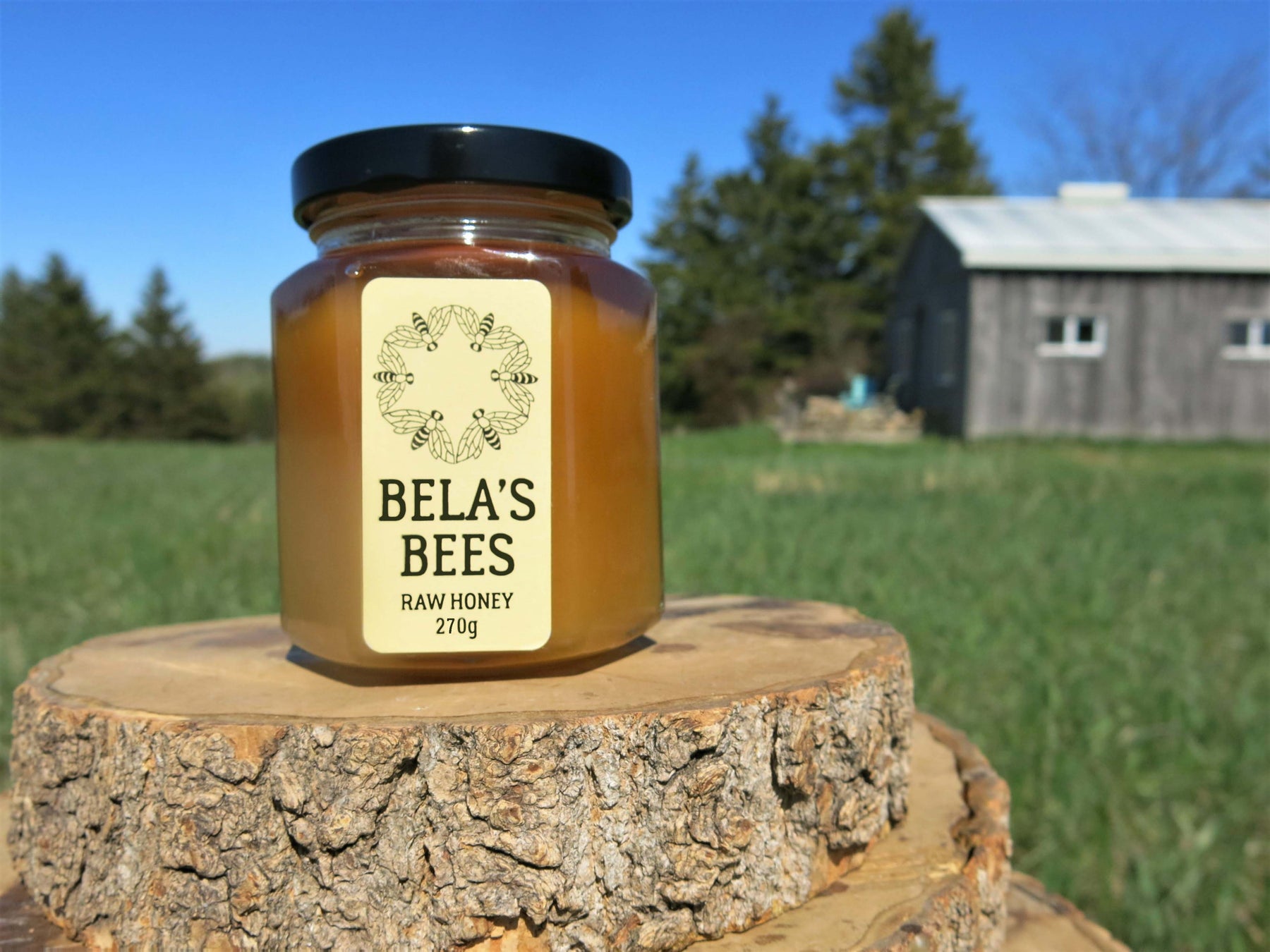 Jar of Bela's Bees Honey